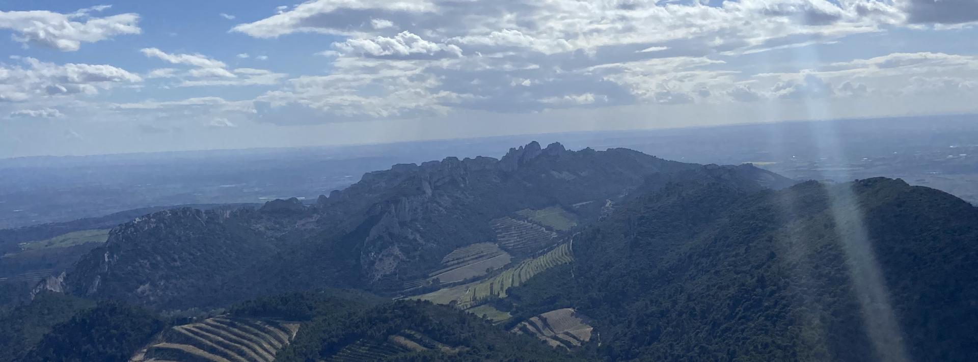 Dentelles de Montmirail