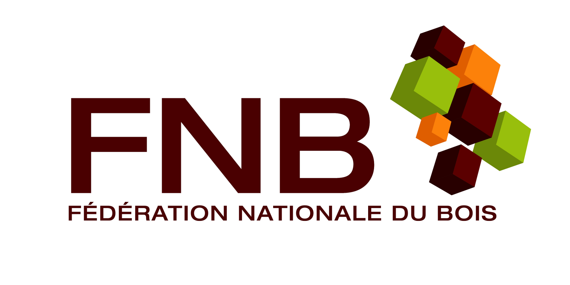 Fnb logo